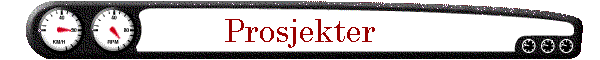 Prosjekter