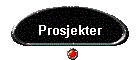 Prosjekter