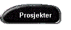 Prosjekter